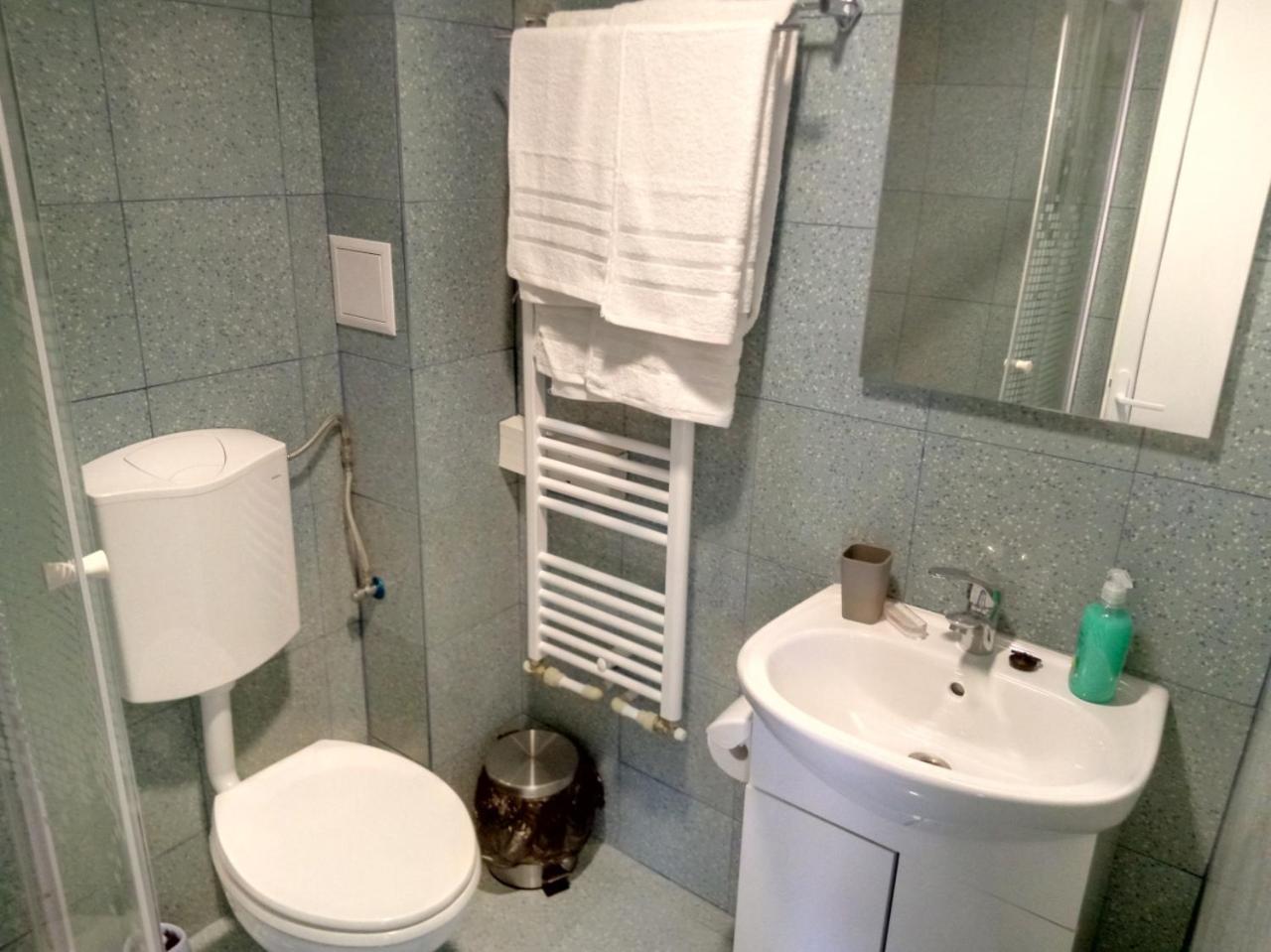 Camere De Inchiriat Carpati Hunedoara Luaran gambar